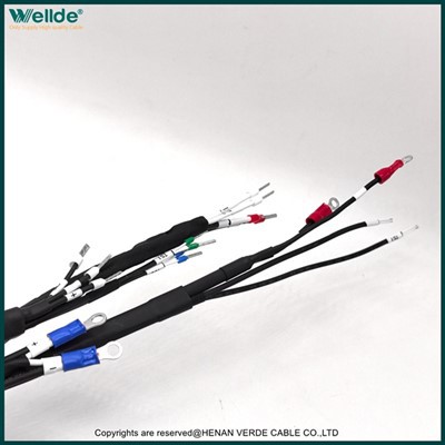 Προσαρμοσμένη πλεξούδα καλωδίωσης